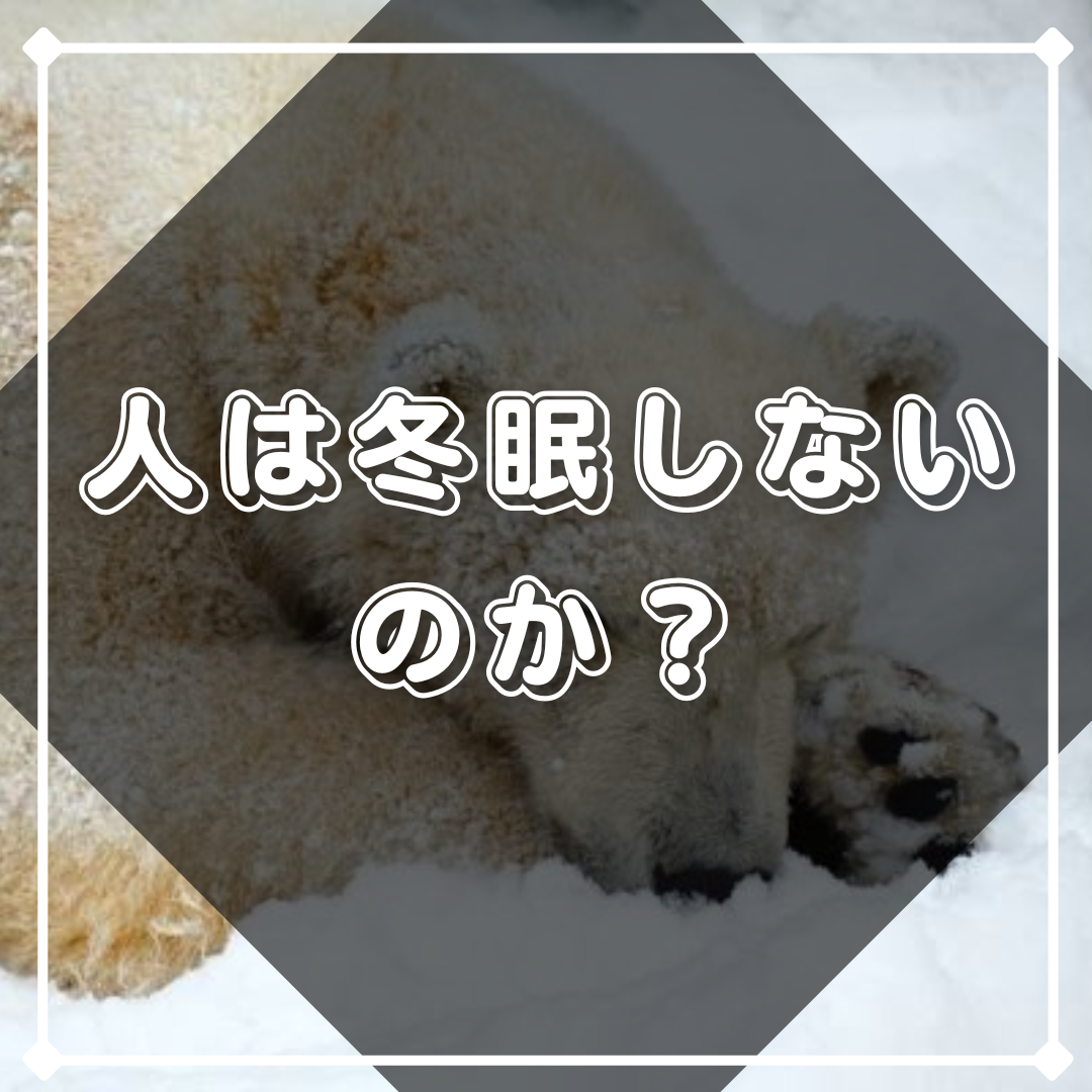 人は冬眠しないのか？ - 心と身体研究所